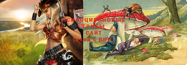 mdpv Ладушкин