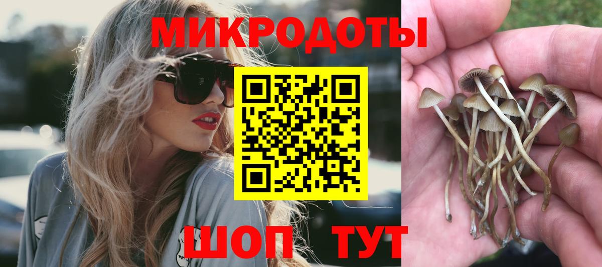 Галлюциногенные грибы Cubensis  Вход с VPN  Псилоцибиновые грибы GOLDEN TEACHER  Краснотурьинск 
